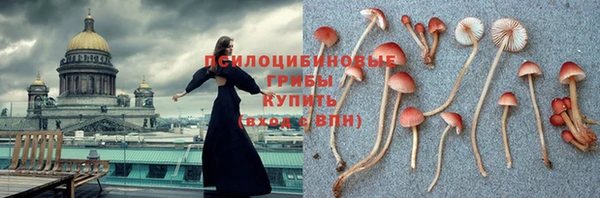 дурь Абинск