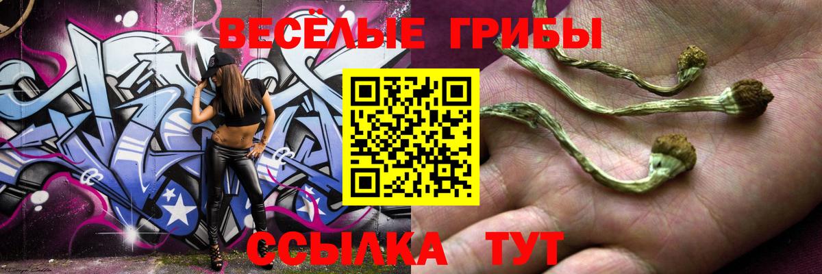 Псилоцибиновые грибы GOLDEN TEACHER  Галлюциногенные грибы Magic Shrooms  Вход с VPN  Салават 