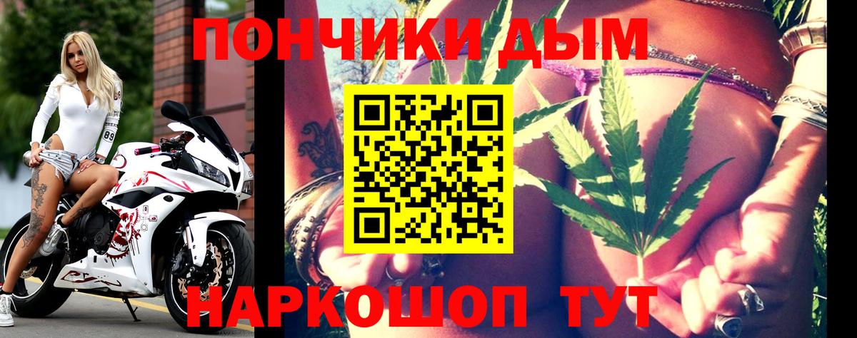 Бошки марихуана THC 21%  Вход с VPN  Салават  МАРИХУАНА план  Канабис сатива 